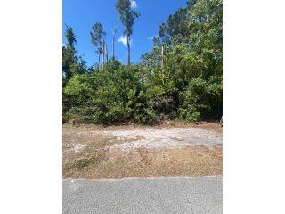 Property in Port Saint Lucie, FL 34983 thumbnail 0