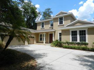 Property in Lithia, FL 33547 thumbnail 1