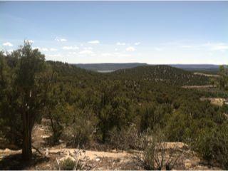 Property in Navajo Dam, NM thumbnail 6