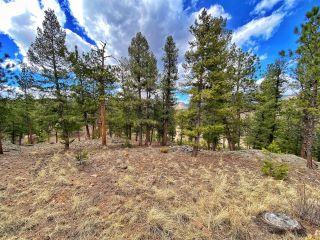 Property in Pine, CO 80470 thumbnail 2