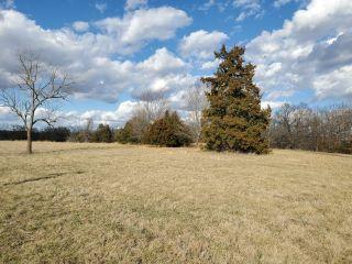 Property in Cassville, MO thumbnail 4