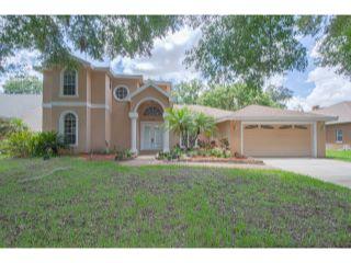 Property in Palm Harbor, FL 34685 thumbnail 0