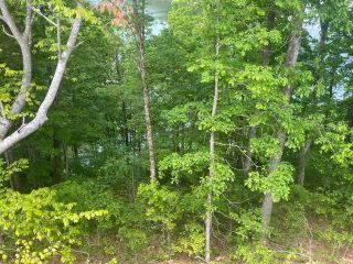 Property in Monticello, KY 42633 thumbnail 1