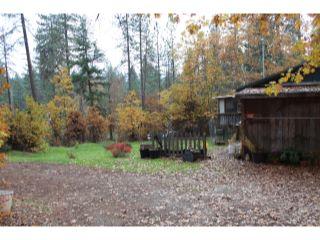 Property in Cave Junction, OR 97523 thumbnail 2