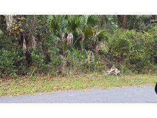 Property in Crystal River, FL thumbnail 6