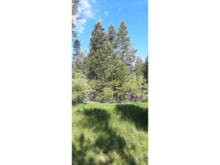 Property in Crescent Lake, OR thumbnail 2