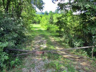 Property in Evensville, TN 37332 thumbnail 0