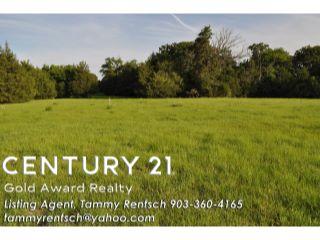 Property in Tennessee Colony, TX thumbnail 5