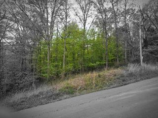 Property in Goreville, IL thumbnail 2