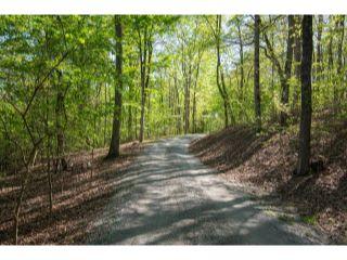 Property in Pikeville, TN 37367 thumbnail 2