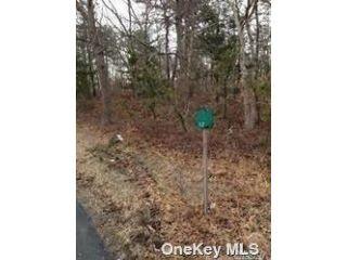 Property in Middle Island, NY 11953 thumbnail 2