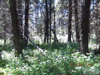 Property in Island Park, ID thumbnail 4