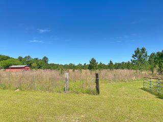 Property in Pansey, AL 36370 thumbnail 2