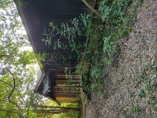 Property in Camden, AR thumbnail 2