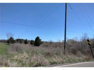 Property in Berlin Center, OH 44401 thumbnail 0