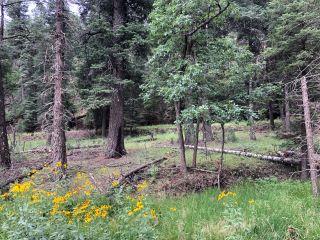 Property in Ruidoso, NM thumbnail 2