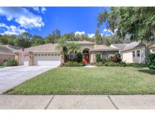 Property in Palm Harbor, FL thumbnail 3