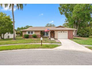 Property in Palm Harbor, FL thumbnail 6