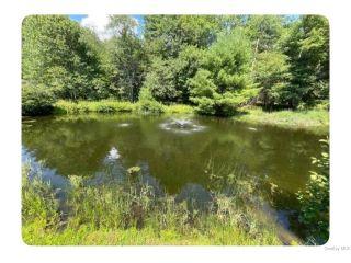 Property in Sparrowbush, NY 12780 thumbnail 1