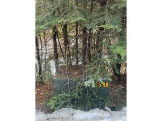 Property in Priest River, ID 83856 thumbnail 2