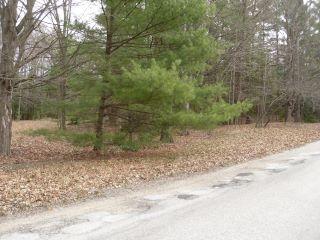 Property in Pentwater, MI 49449 thumbnail 1