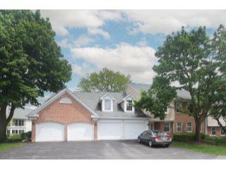 Property in Mount Prospect, IL thumbnail 2