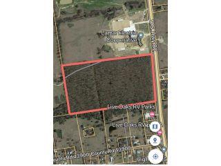 Property in Blossom, TX 75416 thumbnail 2
