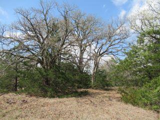 Property in Lone Oak, TX thumbnail 6