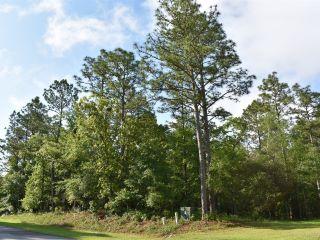 Property in MInnesott Beach, NC 28510 thumbnail 2