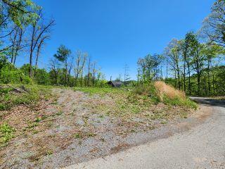Property in Sevierville, TN 37862 thumbnail 2