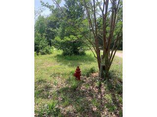 Property in Whitesburg, GA 30185 thumbnail 0