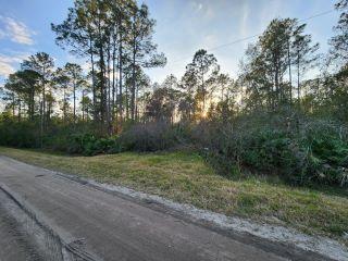 Property in Bunnell, FL thumbnail 2