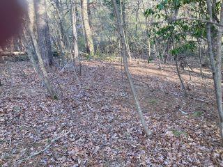 Property in Hendersonville, NC 28792 thumbnail 1