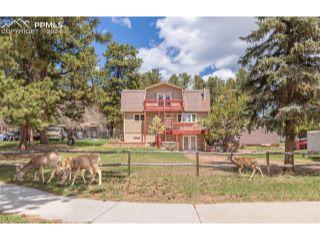 Property in Woodland Park, CO 80863 thumbnail 0