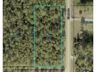 Property in Hastings, FL 32145 thumbnail 0