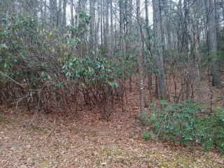Property in West Jefferson, NC thumbnail 5
