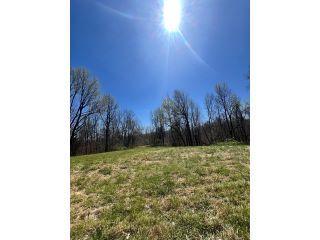 Property in Hickman, KY 42050 thumbnail 2
