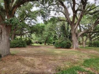 Property in Poplarville, MS 39470 thumbnail 2