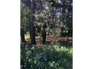 Property in Grass Valley, CA thumbnail 3