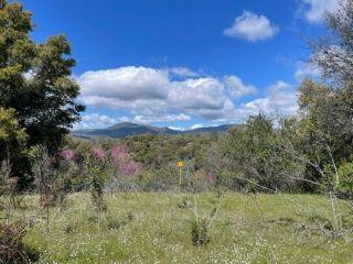 Property in North Fork, CA thumbnail 5