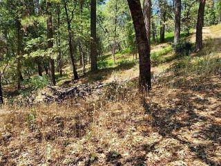 Property in Grass Valley, CA 95945 thumbnail 1
