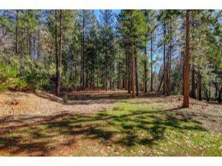 Property in Grass Valley, CA 95945 thumbnail 0