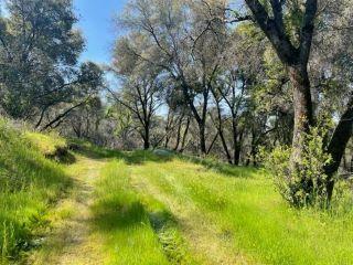 Property in North Fork, CA 93643 thumbnail 1