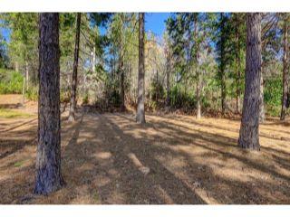 Property in Grass Valley, CA 95945 thumbnail 2