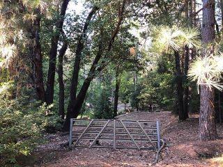 Property in Placerville, CA thumbnail 2
