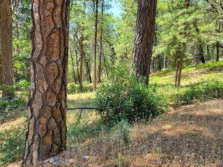 Property in Grass Valley, CA 95945 thumbnail 2