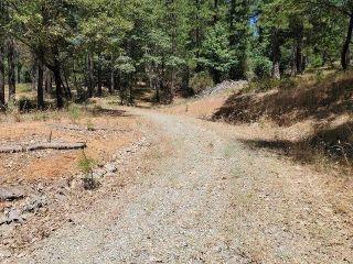 Property in Grass Valley, CA thumbnail 5