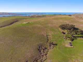 Property in Tomales, CA 94971 thumbnail 0