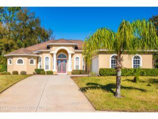 Property in Spring Hill, FL 34609 thumbnail 0