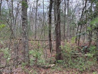 Property in Tallassee, TN thumbnail 3